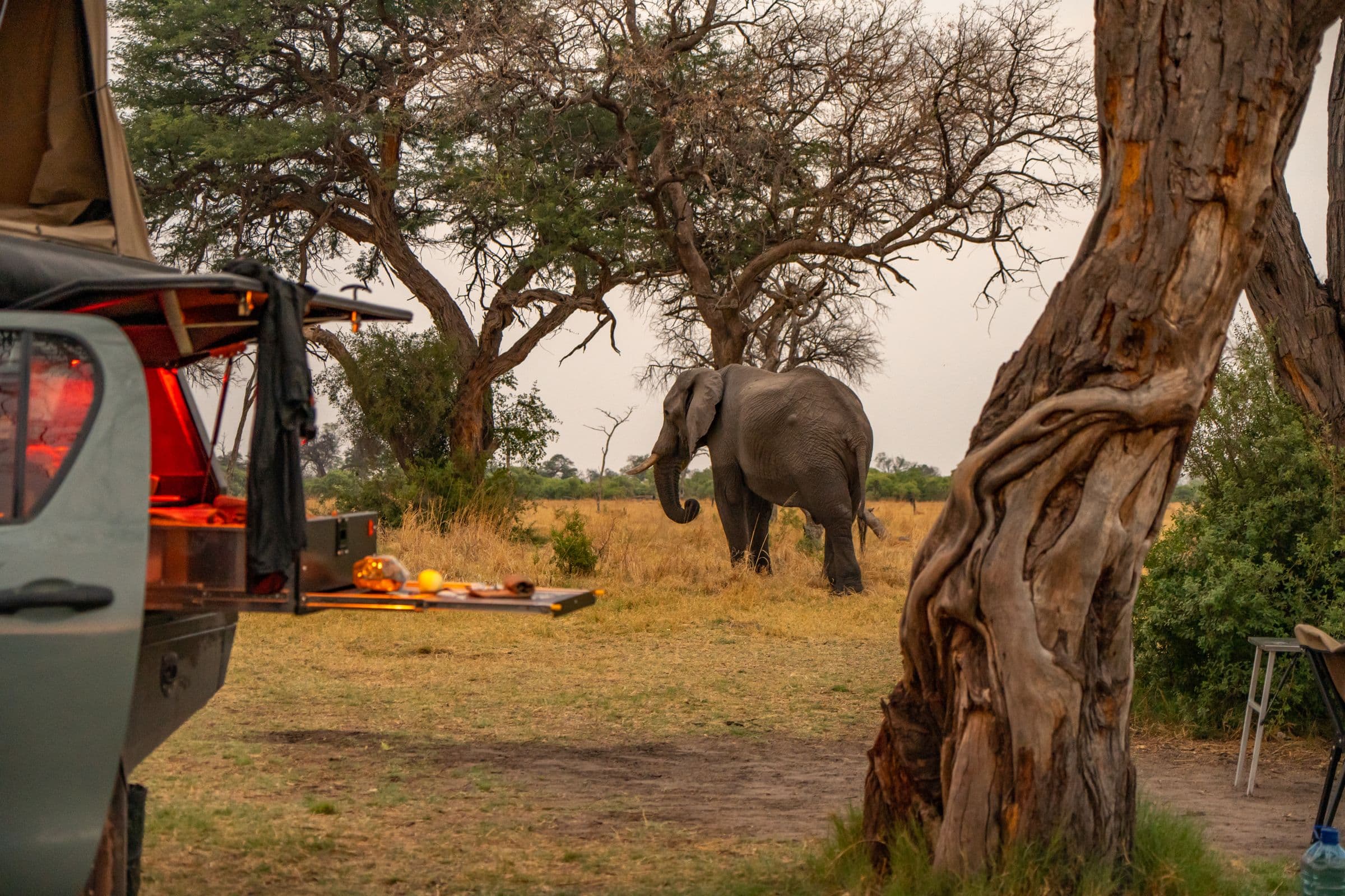 From the kitchen · Botswana, 2022